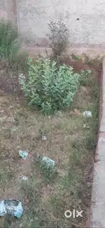 Plot sale agar road aligarh