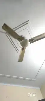 Ceiling fan