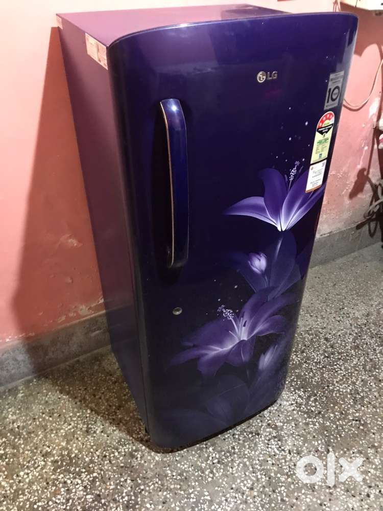 Lg Fridge smart inverter