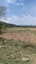 Karattampatti two side road
