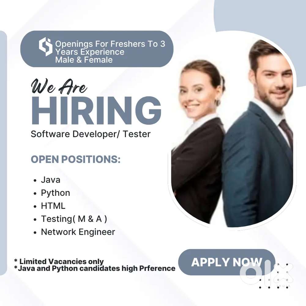 Software Developer / Tester / IT