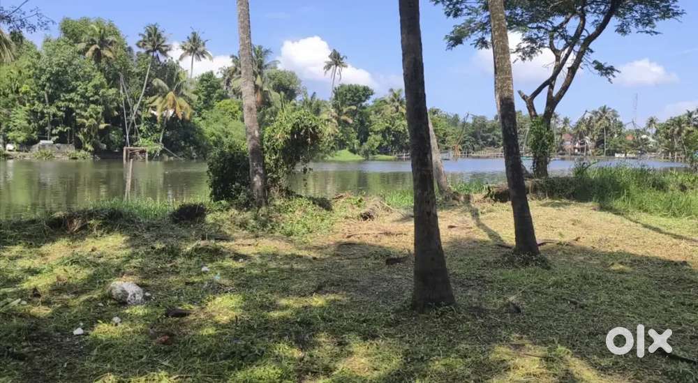 Waterfront Plot 25 cents