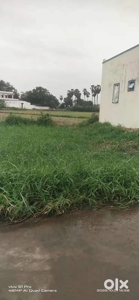 Open plot Near Nellore Surrounding