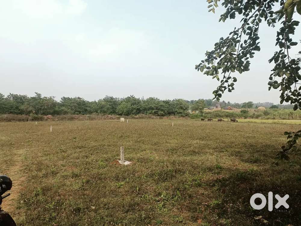 Anus project,, 11 gunta 8 ane at.giryal.katnur