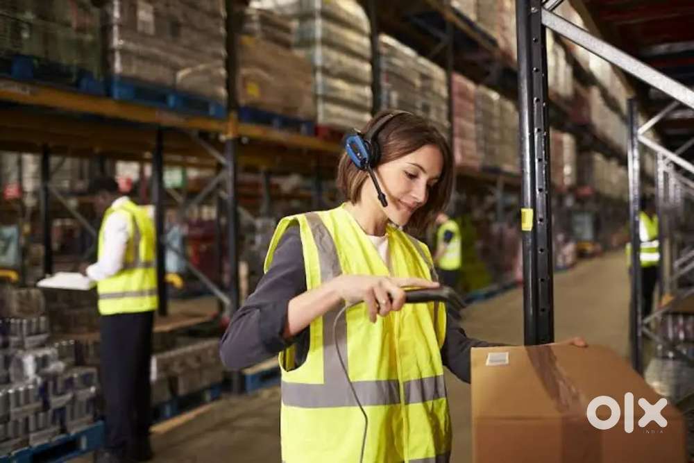 Need boy for pickar packer scanning at bhubaneswar