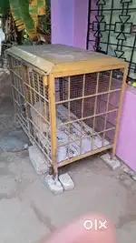 Dog4x3 നീളം വീതി