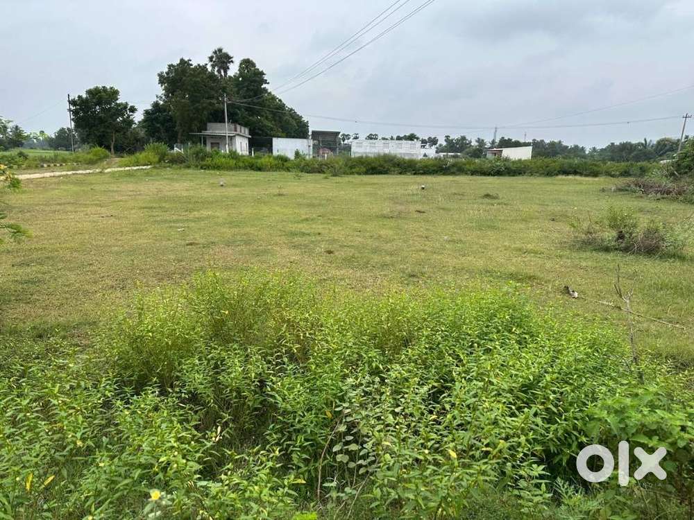 Residential Plot for sale near Tiruvannamalai, Pudumallavadi