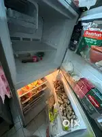 double door fridge