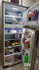 Samsung 446 litres double door fridge