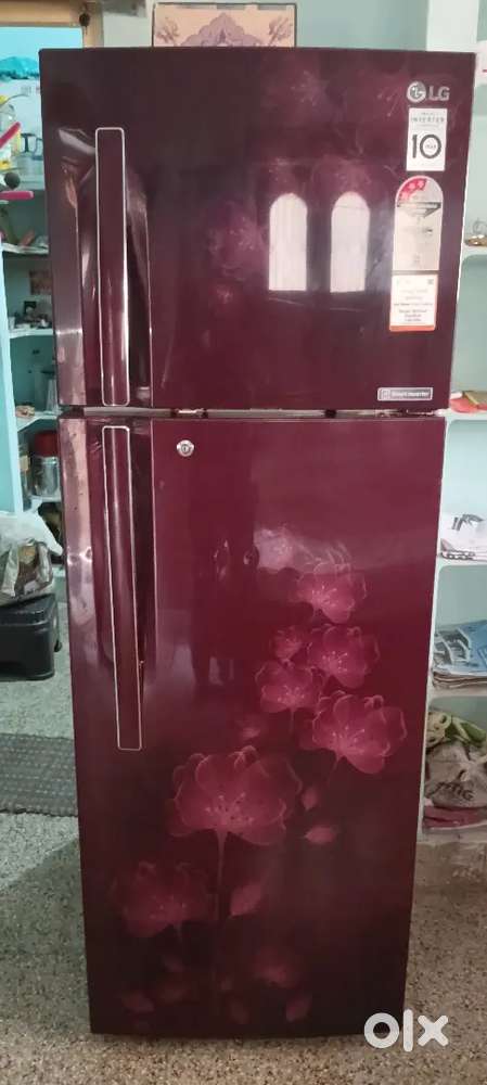 LG fridge double door