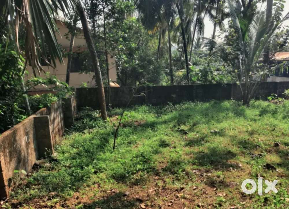 10 cent plot for sale