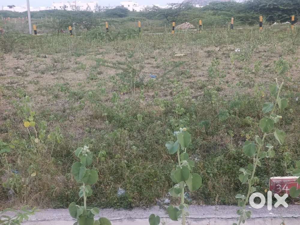 plot for Sale