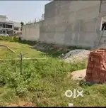 Park Facing 250Gaj Plot In Sec125 Sunny Enclave Kharar Mohali