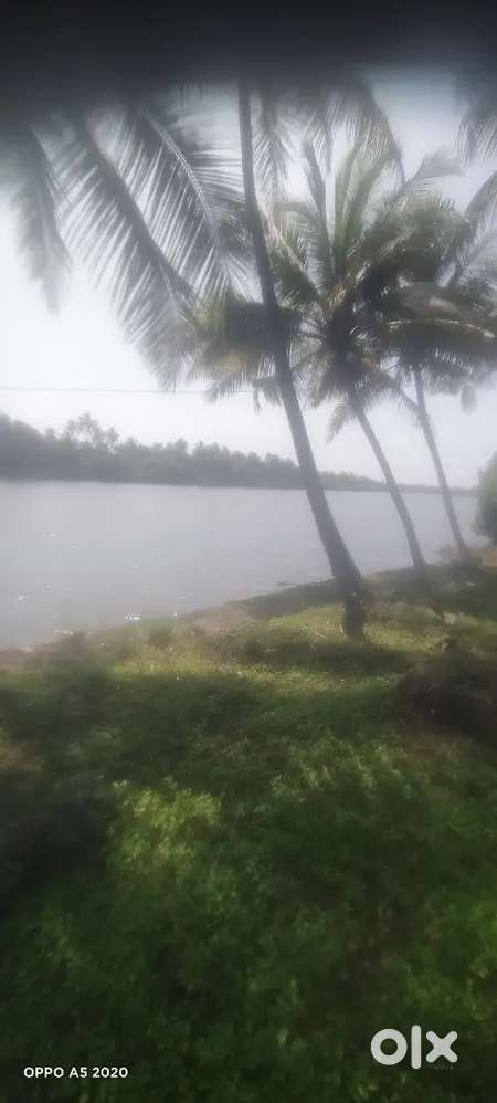 Katapadi 30 Cents River view Property with Tiled House 50 cocanutrees