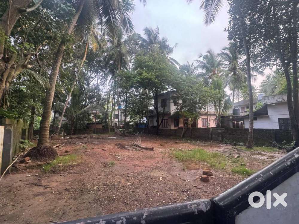 10 Cent Residencial Land For Sale At Alavil, Kannur (Ml)