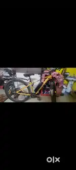 Emotarad electric cycle