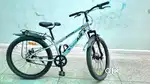 Avon cycle