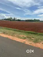 Land / Agricultural land