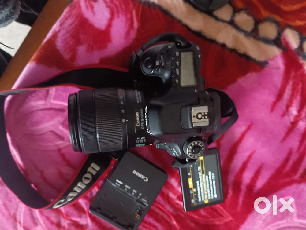 Canon 80D model