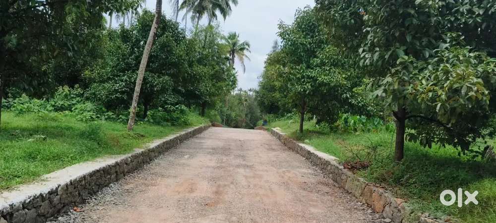 KARUKUTTY NEAR BY 2 KM 5,6,8, 10 CENT PLOTS AVAILABLE