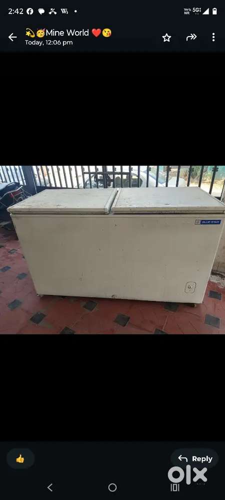 Blue star double-door deep freezer