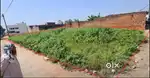 Land for sale in waidhan