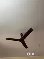 Ceiling fan