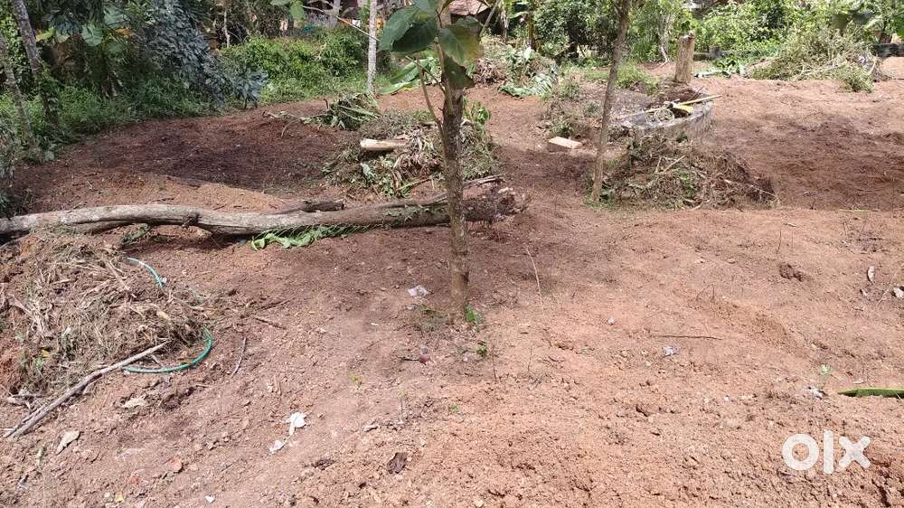 28 cent plot for sale per cent 2.60. L.only