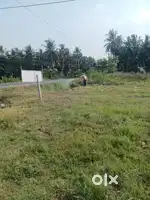 SITE FOR SALE NEAR SRIVASA ENGINEERING COLLEGE MAIN ROAD MOMIDIVARAM