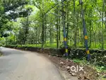 5  Acres of Land for Lease or Rent on Angamaly-Mookannoor Road