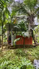 60 cent plot for sale