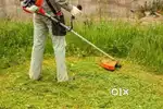 Grass cutting /പുല്ല് വെട്ട്, Grass cutting service with machine