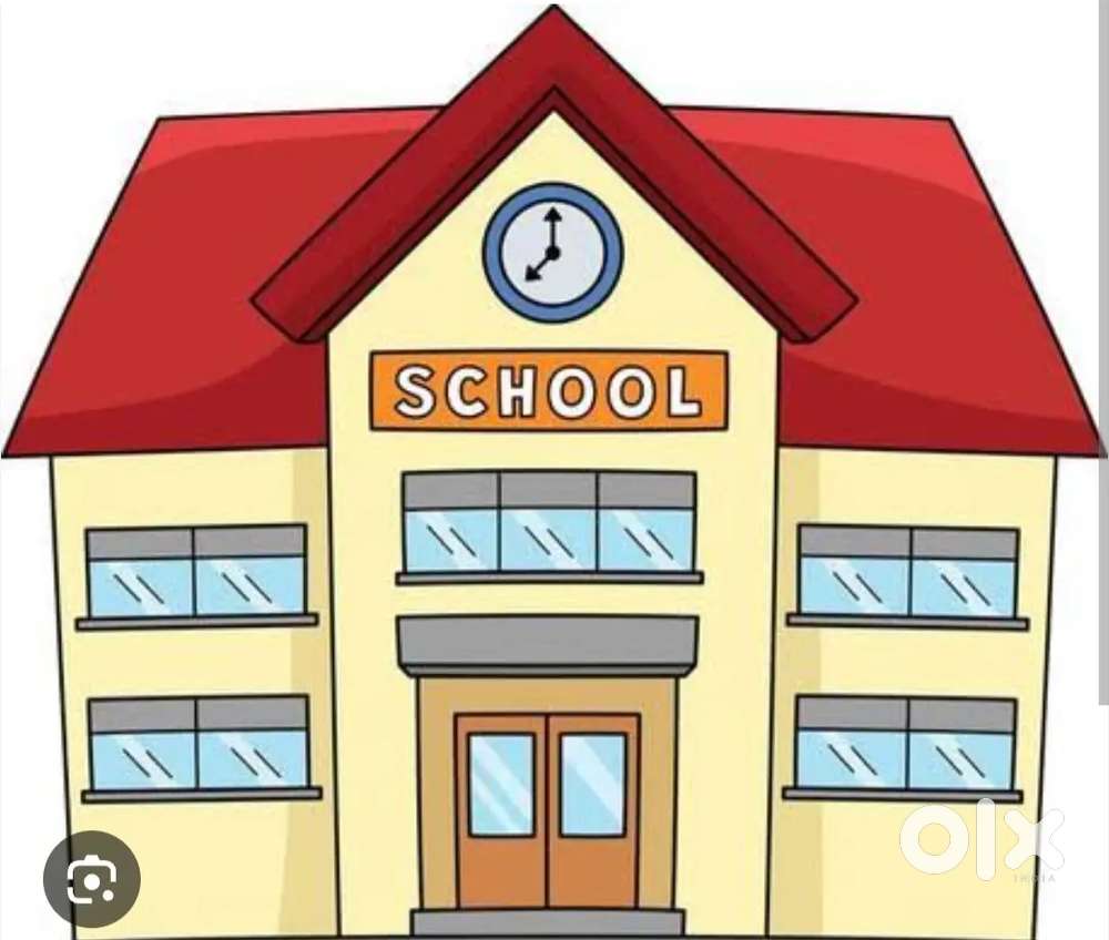 Teacher for school