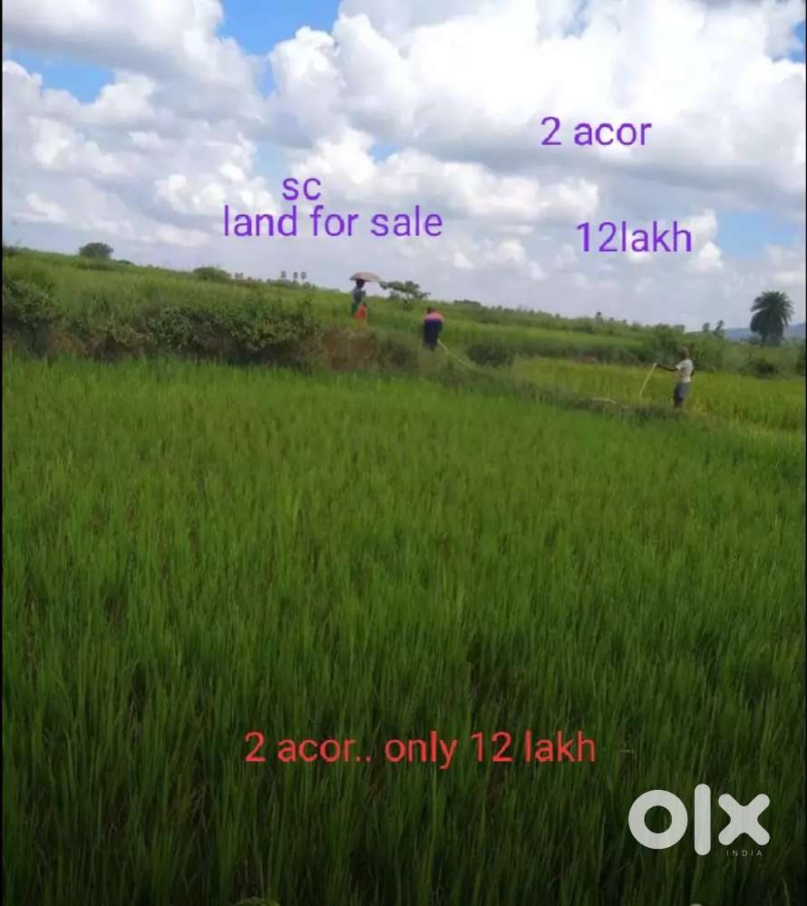 Sc land 12 lakh 2 acor