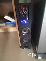 Party speaker