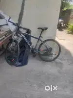 Old cycle kids and horse