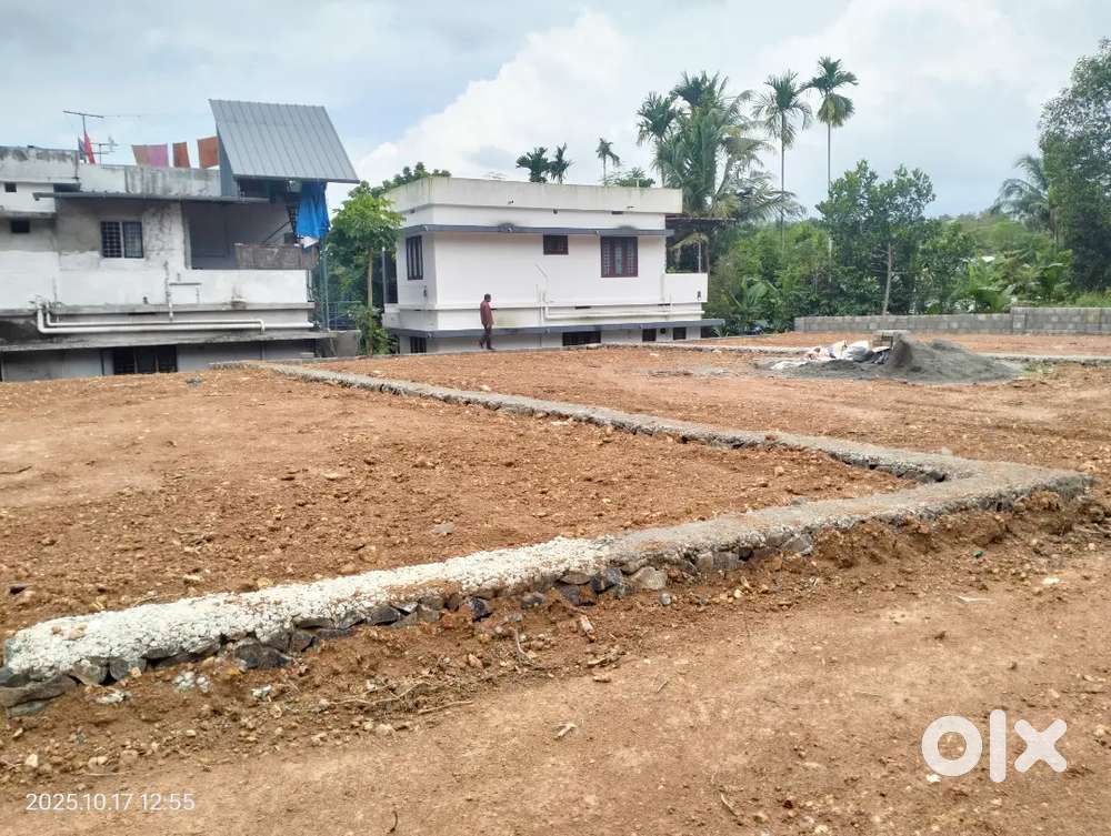 100 meter distance plot for sale chottanikkara Eruvely palace sguare