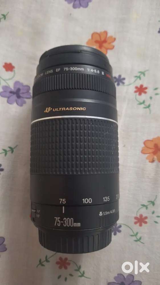 Canon 75:300 zoom lens