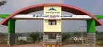 Plot for sale near yelwala KRS nisarga badavane KHB