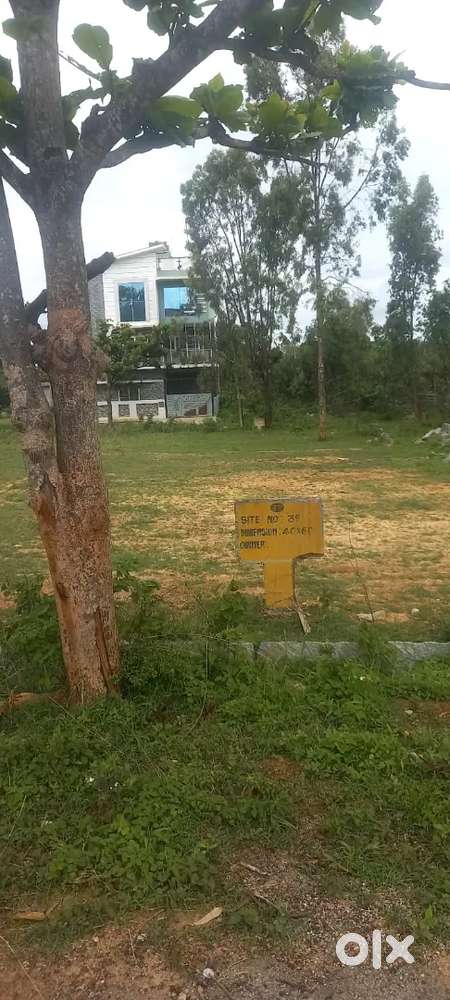 BMRDA site , À katha , attached to industrial area.