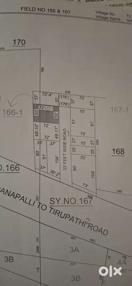 Rangampeta,sree vidyanikethan,chandragiri