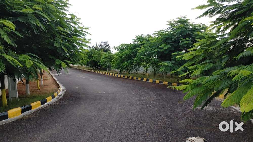 AMANGAL, HMDA LIMITEs, OPEN PLOTS – MUST BUY