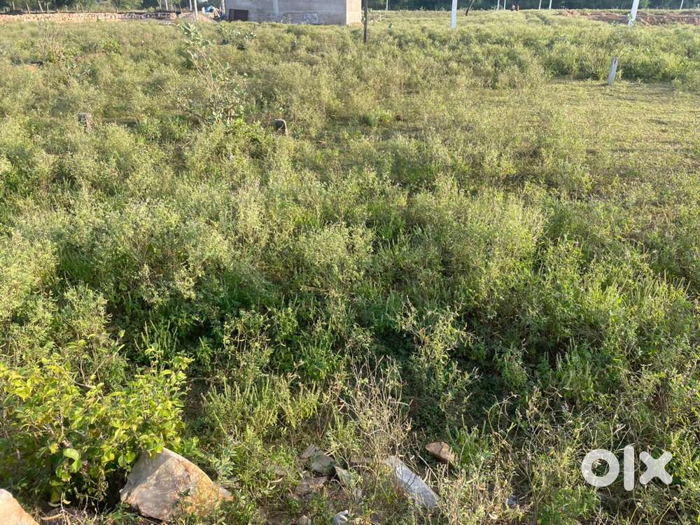 100 Sq.yds  2 shop 10*25