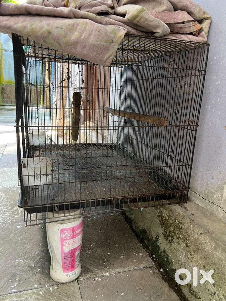 Birds cage for sale tvm