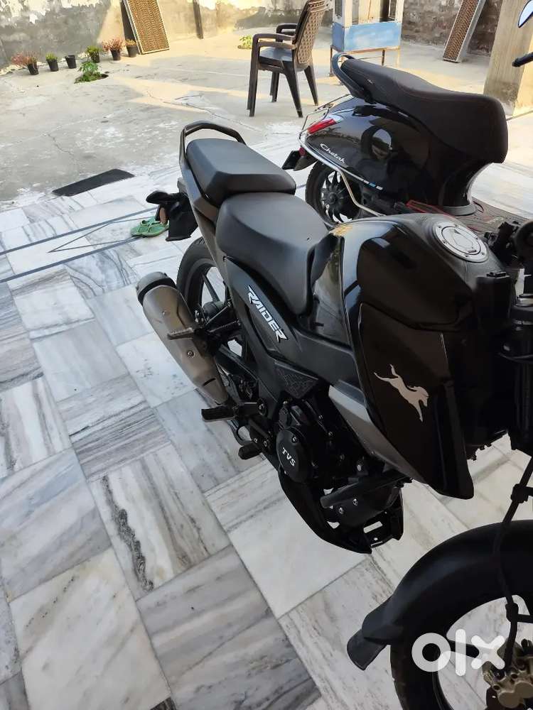 Tvs raider