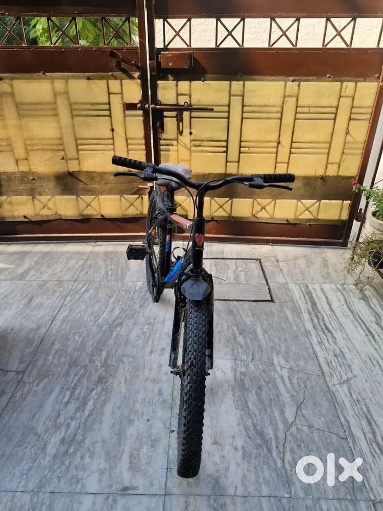 Street cat 3 cycle