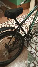 1 year old in well condition