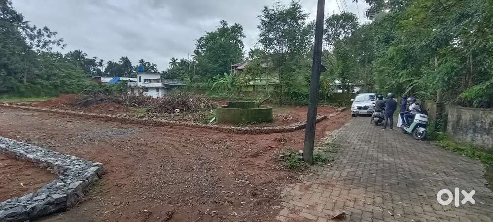 കൊരട്ടി ജംഗ്ഷന് സമീപം ബസ്സ് റൂട്ടിൽ 5 സെൻ്റ് മുതൽ പ്ലോട്ടുകൾ