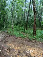Plot  For Sale