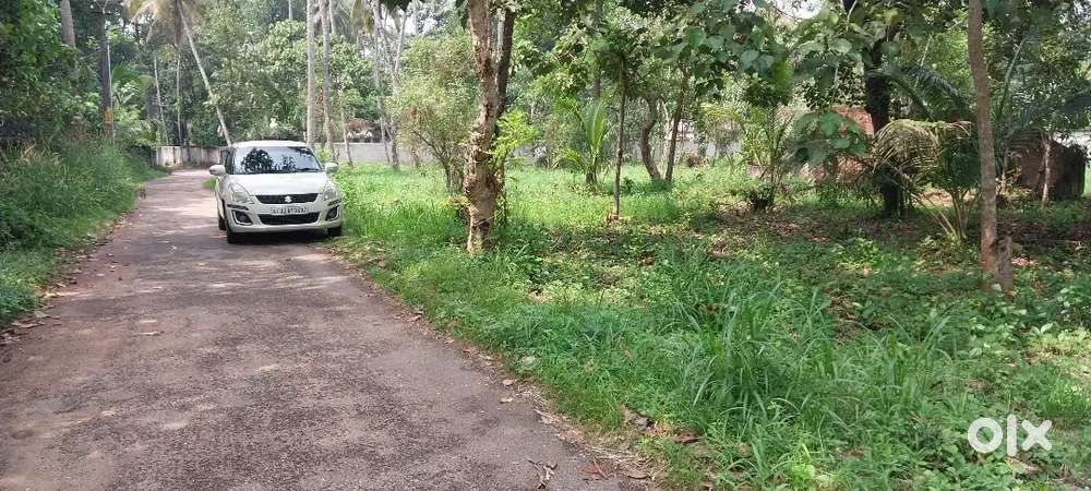 Paravoor, Aaluvila. Main bus route distance 800-850m.